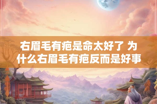 右眉毛有疤是命太好了 为什么右眉毛有疤反而是好事