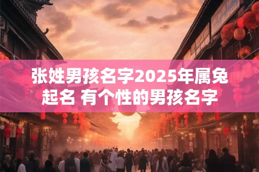 张姓男孩名字2025年属兔起名 有个性的男孩名字