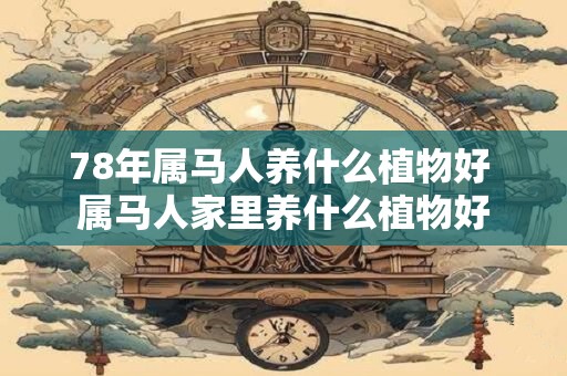 78年属马人养什么植物好 属马人家里养什么植物好