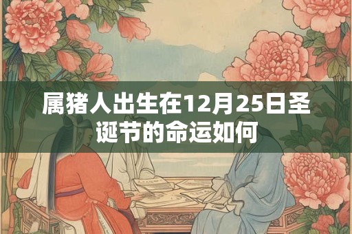 属猪人出生在12月25日圣诞节的命运如何