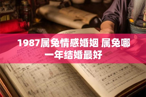 1987属兔情感婚姻 属兔哪一年结婚最好