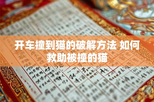 开车撞到猫的破解方法 如何救助被撞的猫