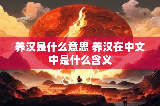养汉是什么意思 养汉在中文中是什么含义