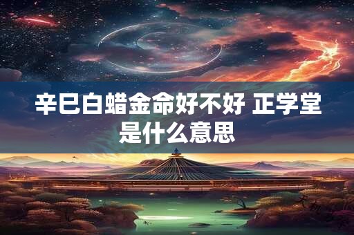辛巳白蜡金命好不好 正学堂是什么意思