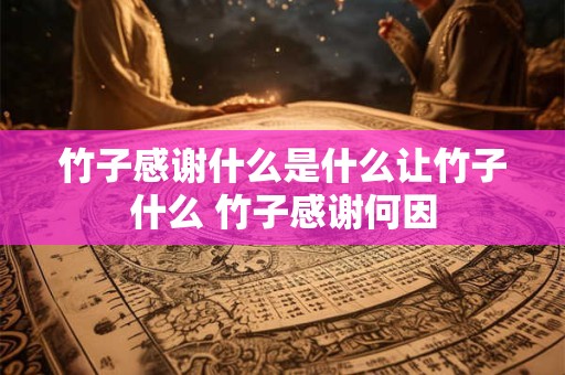竹子感谢什么是什么让竹子什么 竹子感谢何因