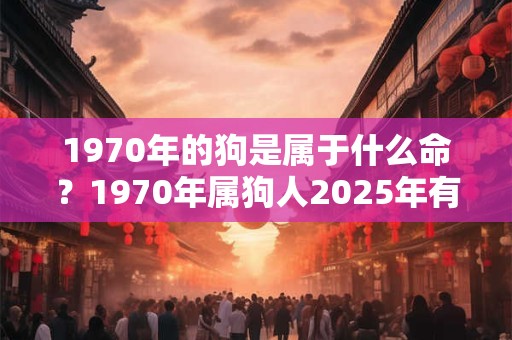 1970年的狗是属于什么命？1970年属狗人2025年有一灾？