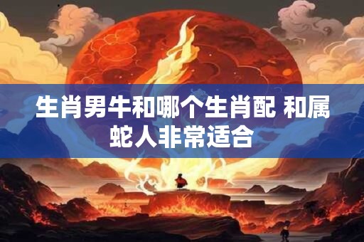生肖男牛和哪个生肖配 和属蛇人非常适合