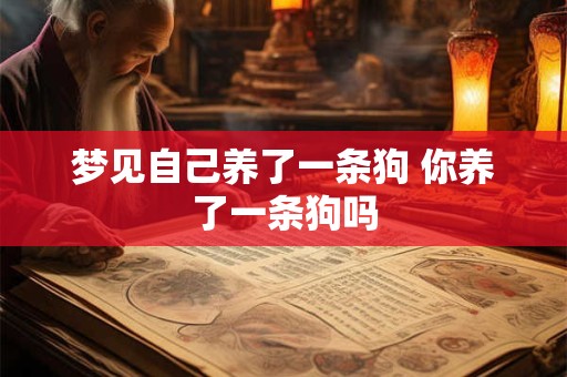 梦见自己养了一条狗 你养了一条狗吗
