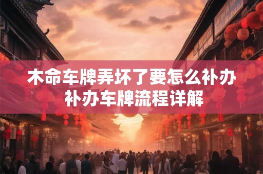 木命车牌弄坏了要怎么补办 补办车牌流程详解