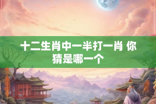 十二生肖中一半打一肖 你猜是哪一个
