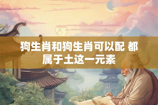 狗生肖和狗生肖可以配 都属于土这一元素