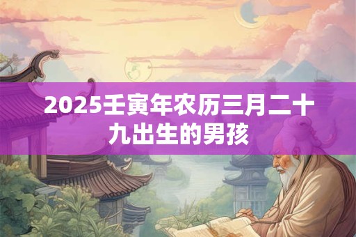 2026壬寅年农历三月二十九出生的男孩