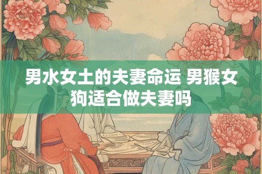 男水女土的夫妻命运 男猴女狗适合做夫妻吗