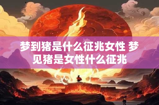 梦到猪是什么征兆女性 梦见猪是女性什么征兆