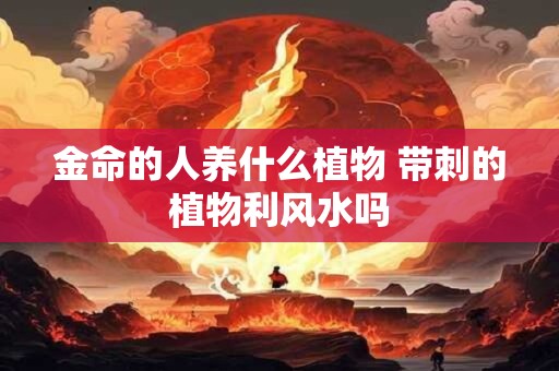 金命的人养什么植物 带刺的植物利风水吗