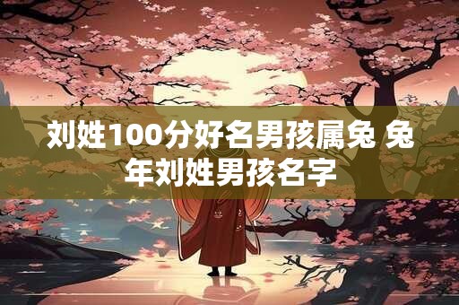 刘姓100分好名男孩属兔 兔年刘姓男孩名字