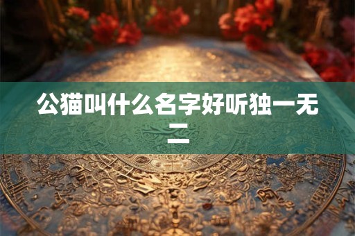 公猫叫什么名字好听独一无二