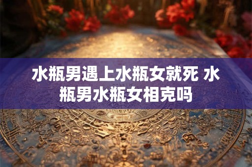 水瓶男遇上水瓶女就死 水瓶男水瓶女相克吗