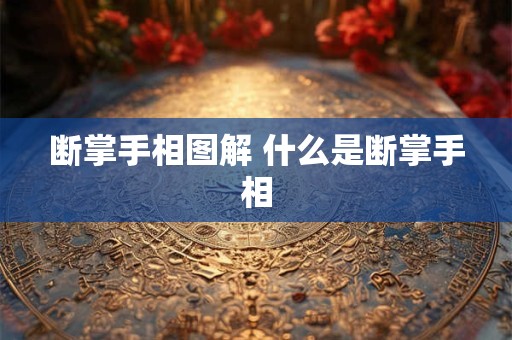 断掌手相图解 什么是断掌手相