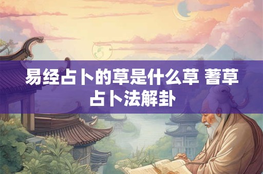 易经占卜的草是什么草 蓍草占卜法解卦