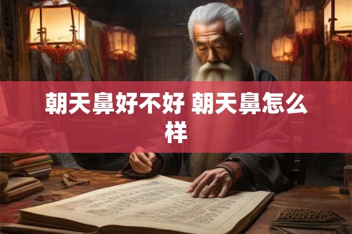 朝天鼻好不好 朝天鼻怎么样
