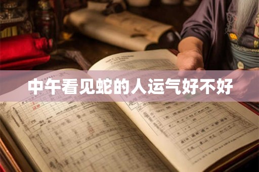 中午看见蛇的人运气好不好