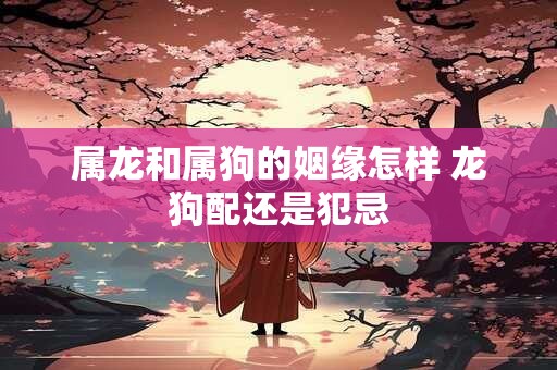 属龙和属狗的姻缘怎样 龙狗配还是犯忌