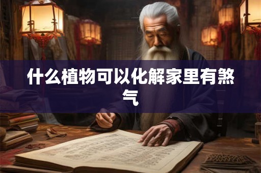 什么植物可以化解家里有煞气