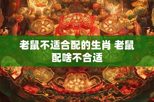 老鼠不适合配的生肖 老鼠配啥不合适