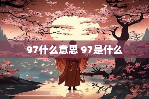 97什么意思 97是什么