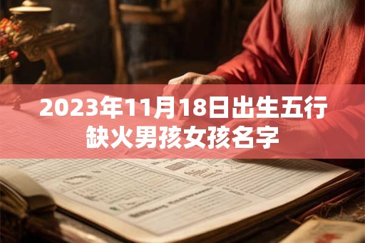 2023年11月18日出生五行缺火男孩女孩名字