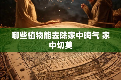 哪些植物能去除家中晦气 家中切莫