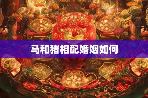 马和猪相配婚姻如何