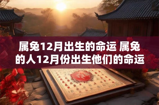 属兔12月出生的命运 属兔的人12月份出生他们的命运如何