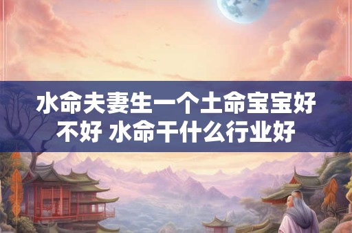 水命夫妻生一个土命宝宝好不好 水命干什么行业好