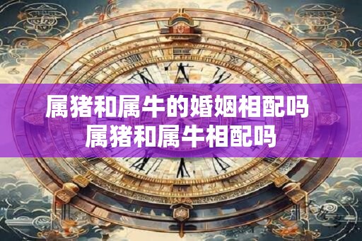 属猪和属牛的婚姻相配吗 属猪和属牛相配吗 属猪和属牛的婚姻相配吗 属猪和属牛相配吗