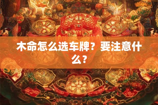 木命怎么选车牌？要注意什么？