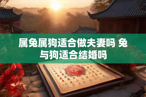 属兔属狗适合做夫妻吗 兔与狗适合结婚吗