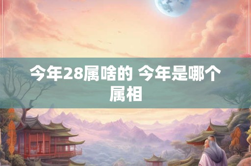 今年28属啥的 今年是哪个属相