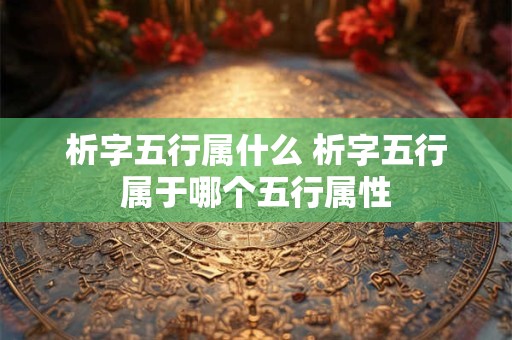 析字五行属什么 析字五行属于哪个五行属性