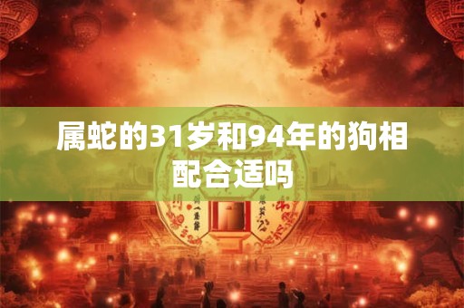 属蛇的31岁和94年的狗相配合适吗