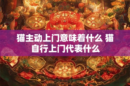 猫主动上门意味着什么 猫自行上门代表什么