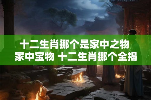 十二生肖挪个是家中之物 家中宝物 十二生肖挪个全揭秘