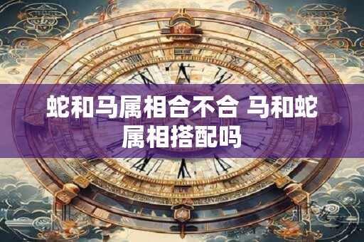 蛇和马属相合不合 马和蛇属相搭配吗