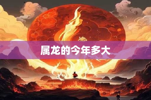 属龙的今年多大