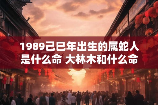 1989己巳年出生的属蛇人是什么命 大林木和什么命最配