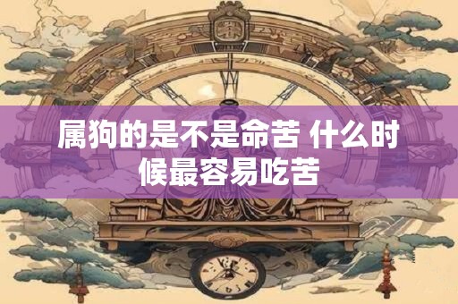 属狗的是不是命苦 什么时候最容易吃苦