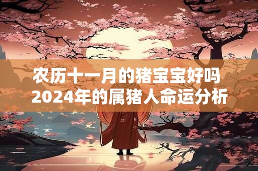 农历十一月的猪宝宝好吗 2024年的属猪人命运分析！