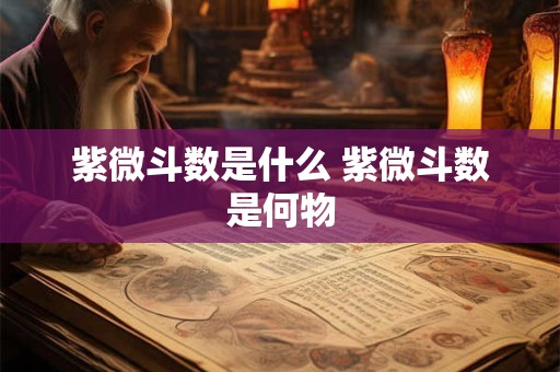 紫微斗数是什么 紫微斗数是何物