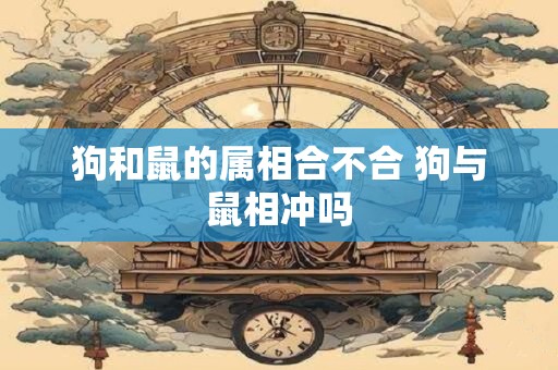 狗和鼠的属相合不合 狗与鼠相冲吗